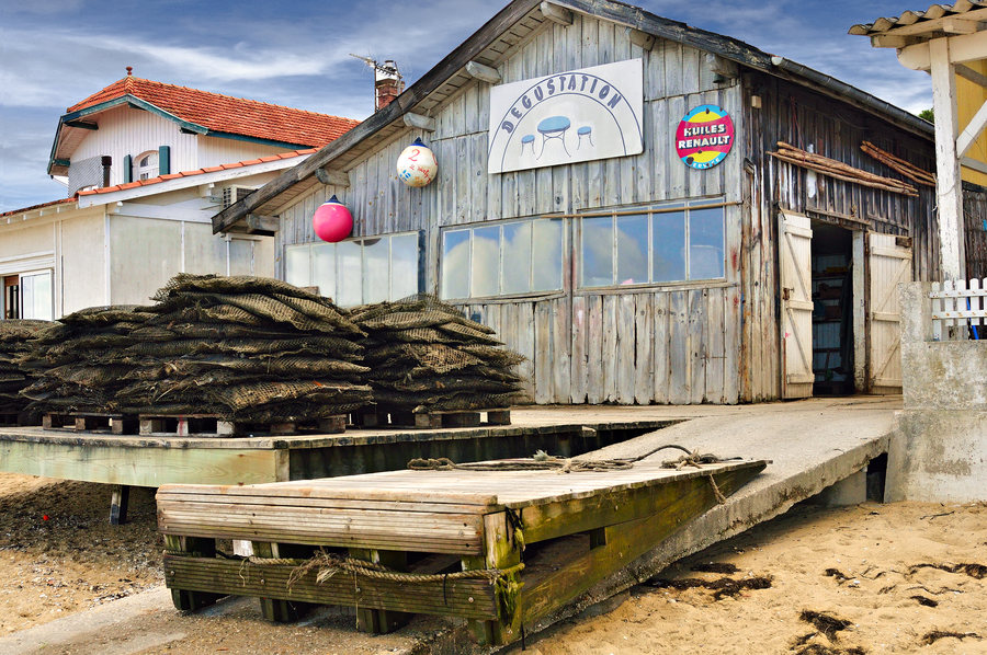 Cap Ferret #33